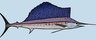 Image de Sailfish