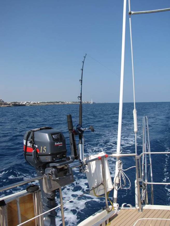 IMG_1164 à l'endroit