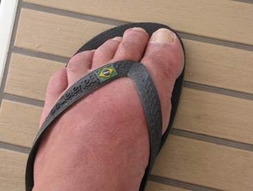 Description : Description : E:\Mes images\Bato\Virées Frangins\Amarante 2012\IMG_2667.JPG