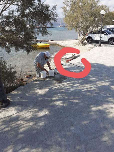 Une image contenant extérieur, eau, homme, frisbee
Description générée automatiquement