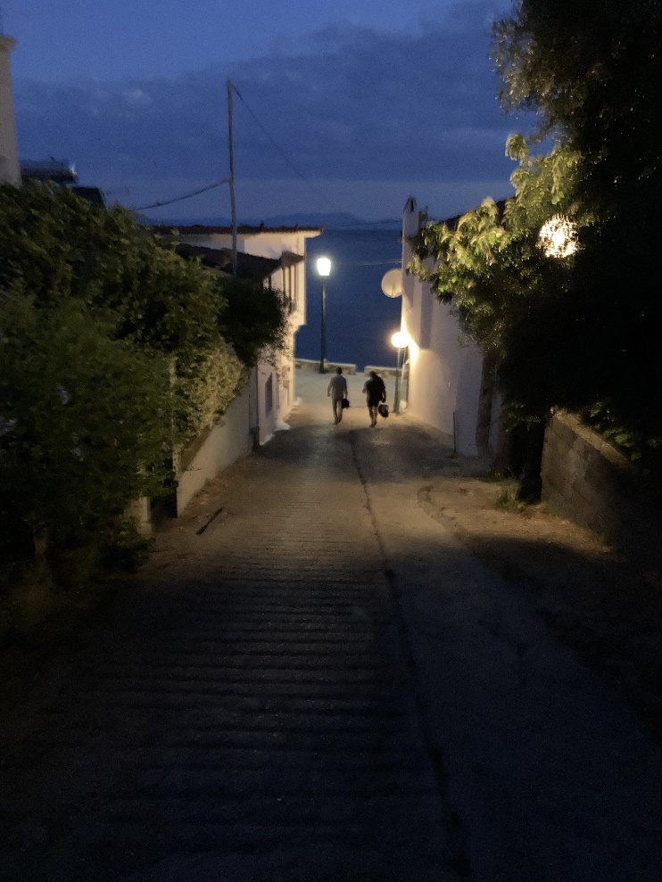 Une image contenant arbre, extérieur, rue, passage
Description générée automatiquement