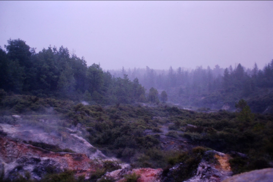 Une image contenant paysage, plein air, arbre, nature Description générée automatiquement