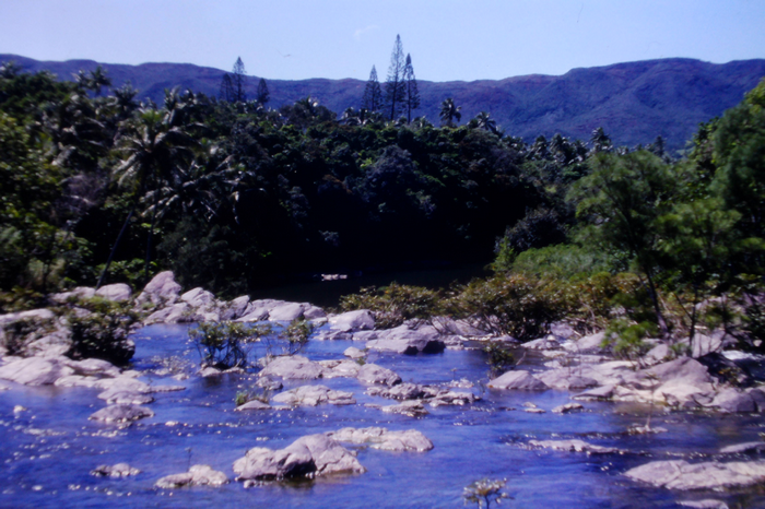 Une image contenant plein air, arbre, Ressources d'eau, eau
Description générée automatiquement