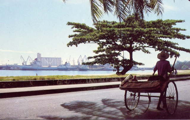 Une image contenant plein air, roue, ciel, arbre
Description générée automatiquement