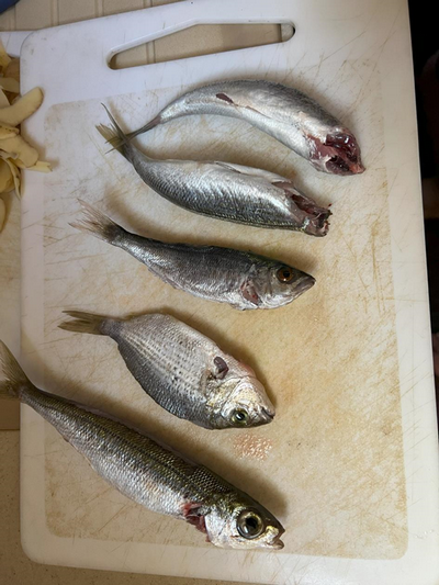 Une image contenant poisson, Produits de la mer, fruit de mer, nourriture
Description générée automatiquement