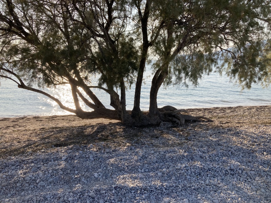 Une image contenant plein air, sol, eau, lac
Description générée automatiquement