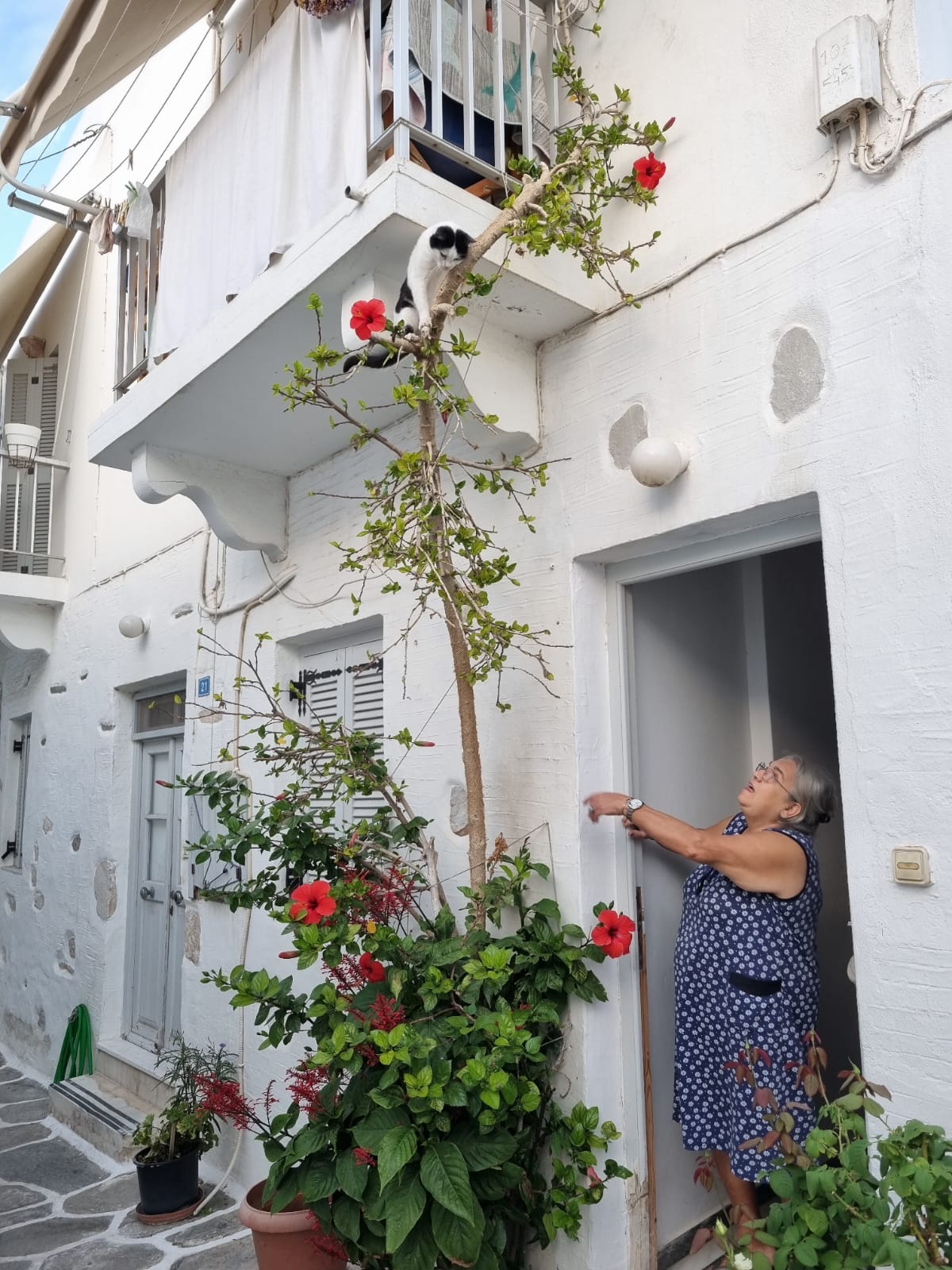 Une image contenant bâtiment, plein air, plante d’intérieur, pot de fleurs
Description générée automatiquement