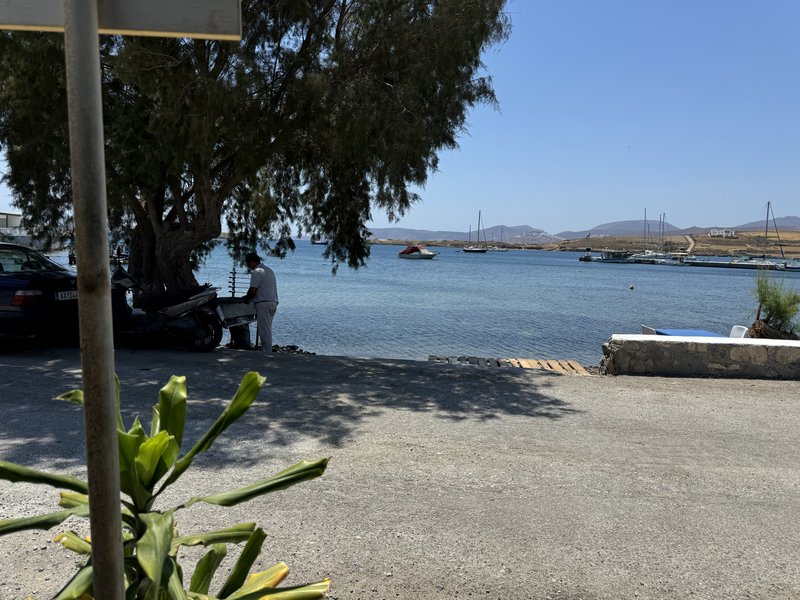 Une image contenant plein air, rive, plante, ciel
Le contenu généré par l’IA peut être incorrect.