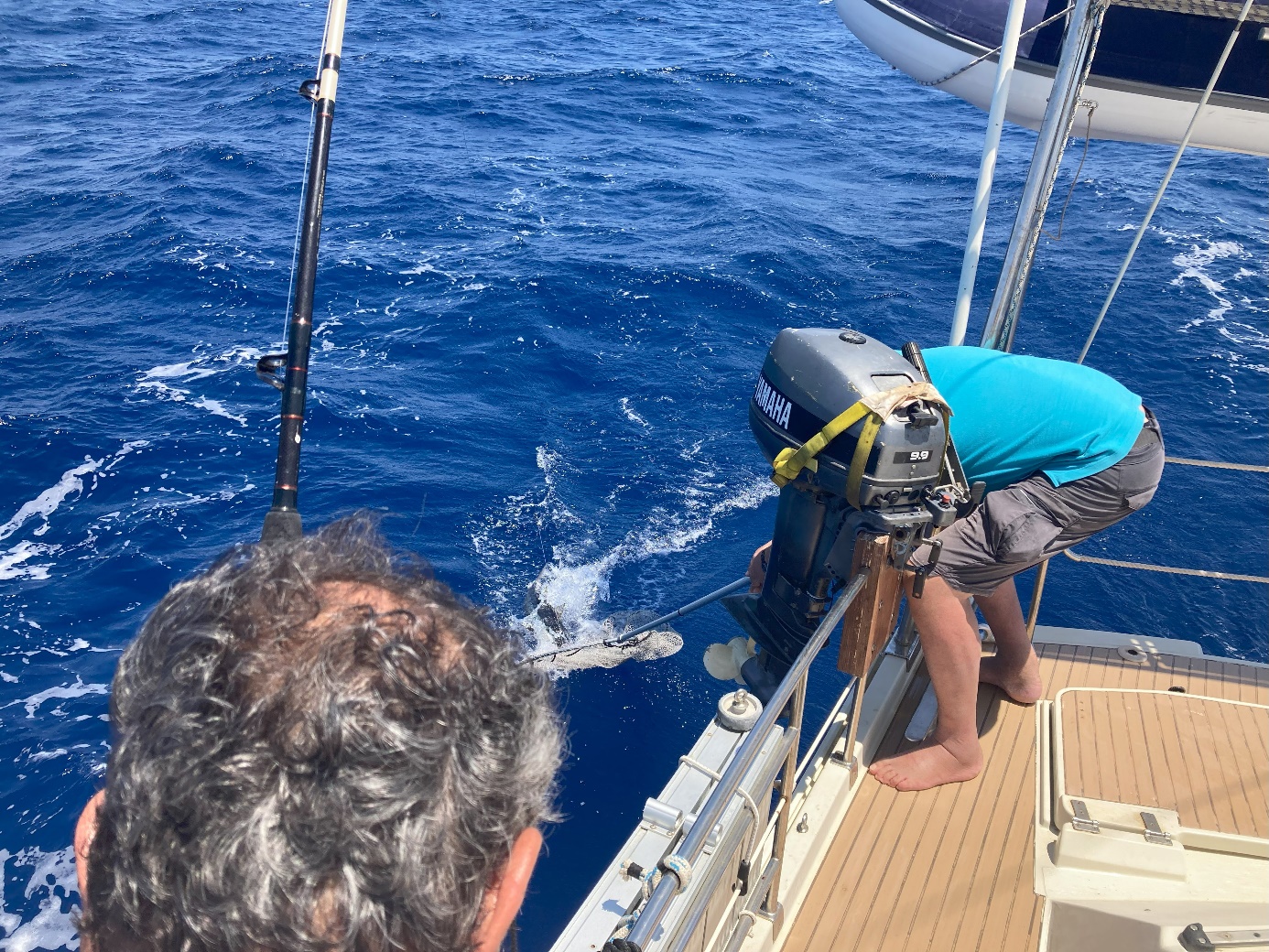Une image contenant plein air, personne, habits, eau
Le contenu généré par l’IA peut être incorrect.