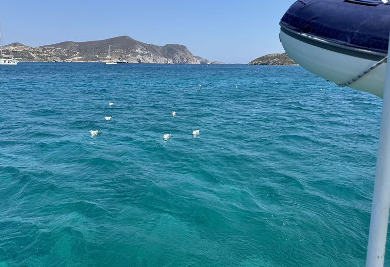 Une image contenant plein air, eau, ciel, lac
Le contenu généré par l’IA peut être incorrect.