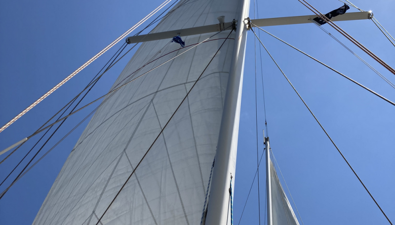 20210529_110521176_iOS