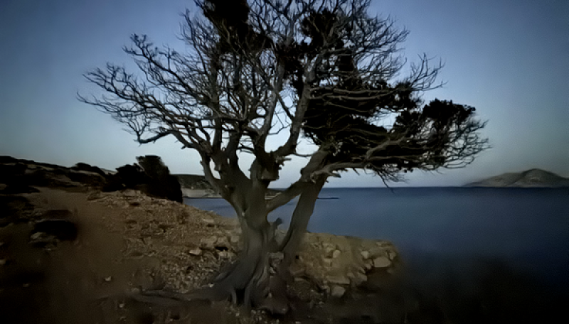 20250721_182256395_iOS