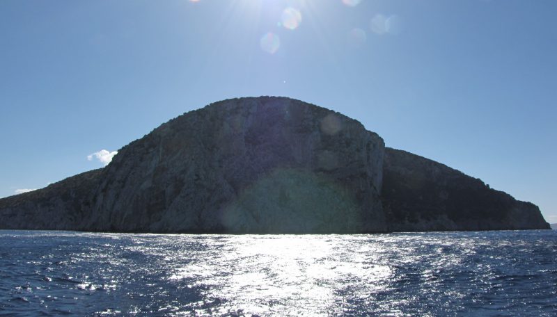 IMG_2211 (2014_05_25 12_12_07 UTC)