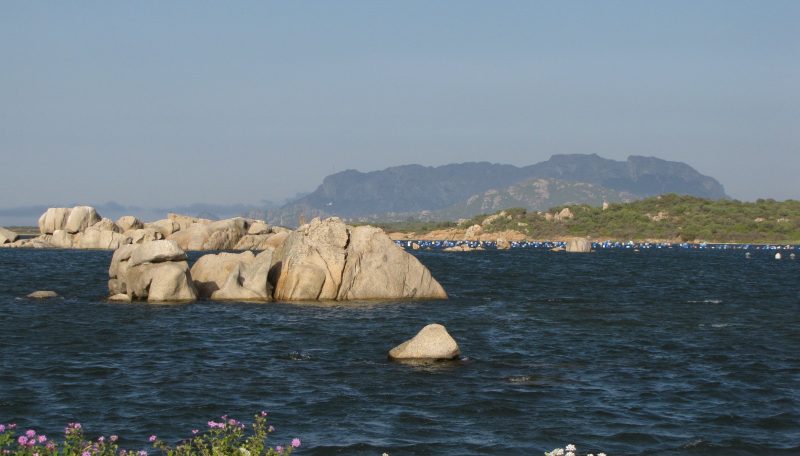 IMG_3054 (2014_05_25 12_12_07 UTC)