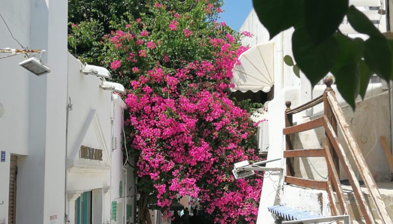 PHOTO-2019-09-08-14-36-46